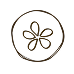 Flower-1 1