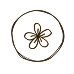 Flower-1 3