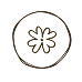 Flower-1 6