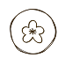 Flower-1 9